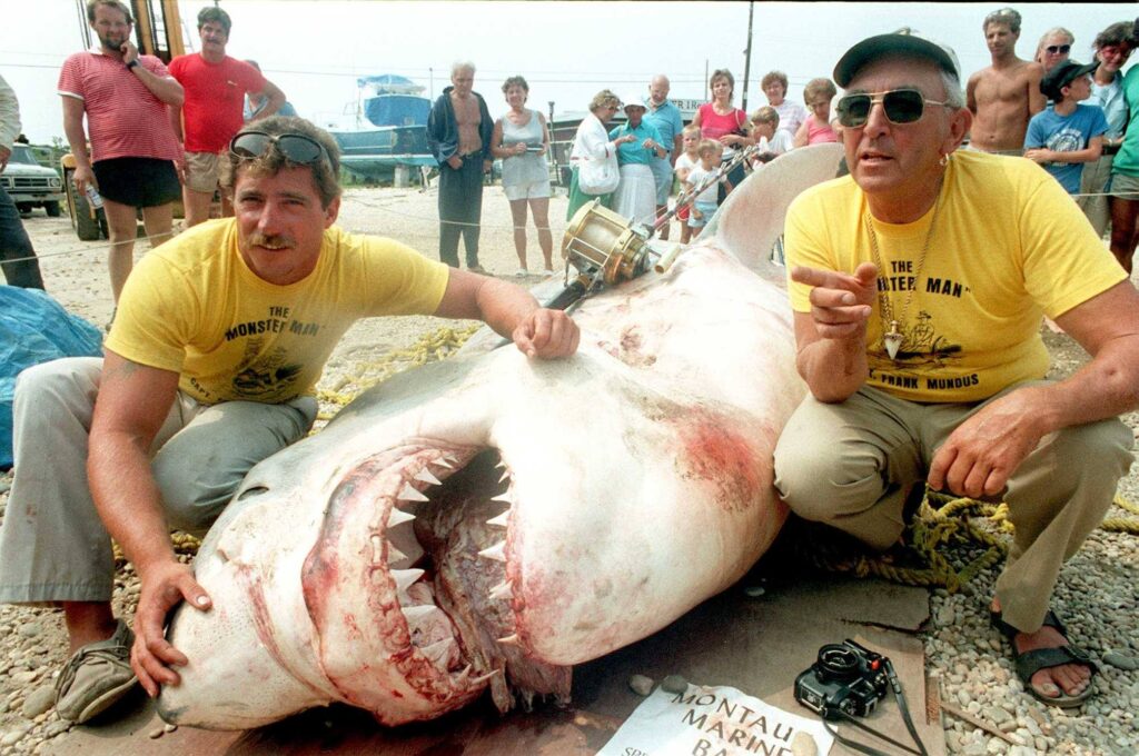 les dents de la mer,steven spielberg
