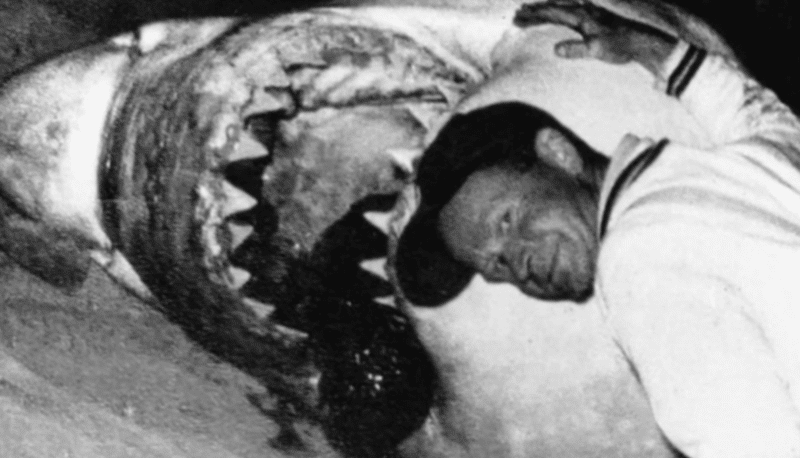 les dents de la mer,steven spielberg