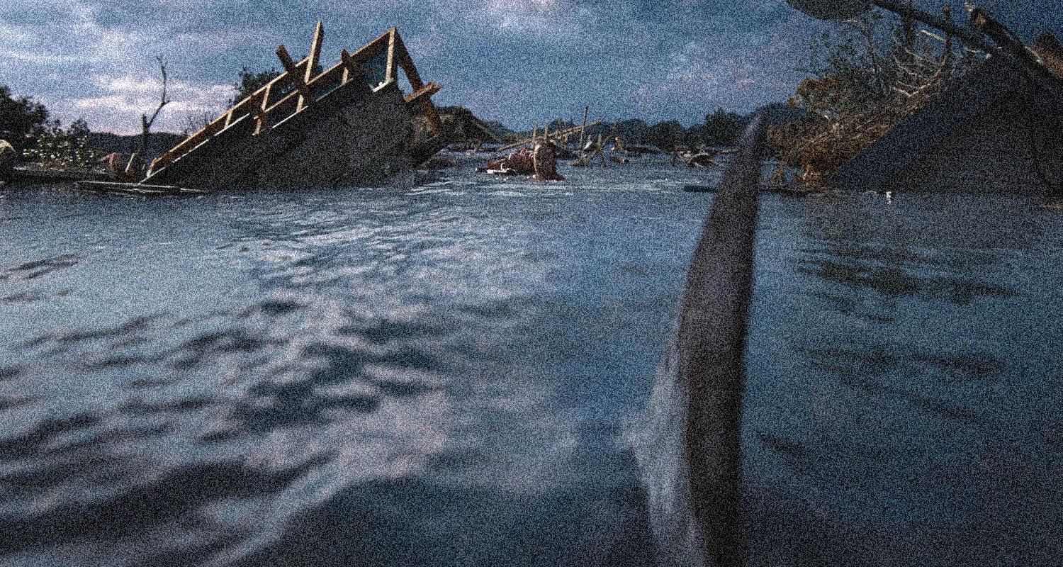 “Thrash” : Le nouveau film de requins de Tommy Wirkola débarque sur Netflix en avril 2026
