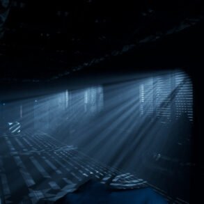The Dark Curiosity de chez Afterlife Studio