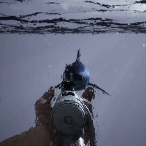Open Waters