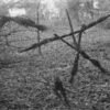 Liongate annonce la date de sortie du prochain "Projet Blair Witch"