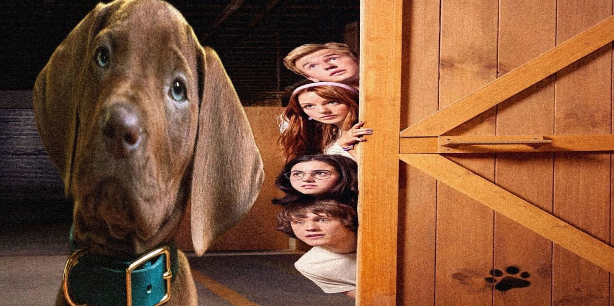 Netflix nous fait découvrir le vrai chien qui incarnera Scooby Doo dans la série 'Scooby-Doo : Origins'