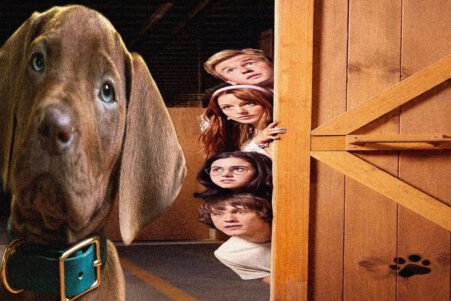 Netflix nous fait découvrir le vrai chien qui incarnera Scooby Doo dans la série 'Scooby-Doo : Origins'