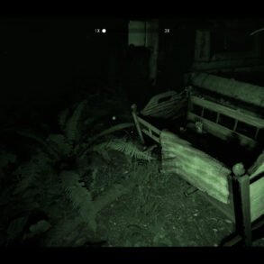 Night-vision view of a ruined bedroom with two broken wooden beds surrounded by ferns and overgrowth, dark and eerie.
