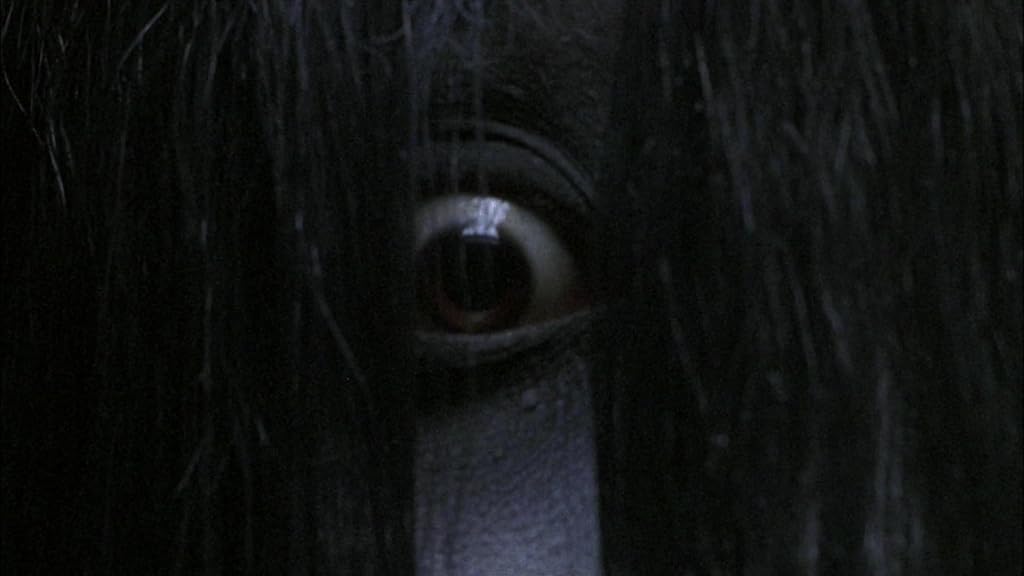 Takako Fuji dans The Grudge (2004)