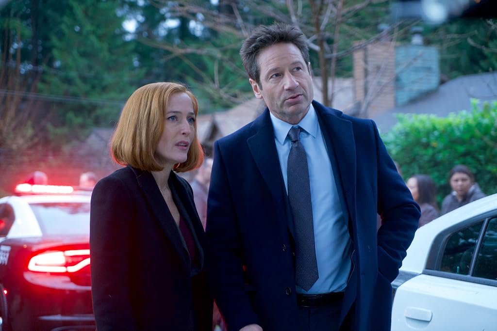 Gillian Anderson et David Duchovny dans X-Files : Aux frontières du réel (1993)