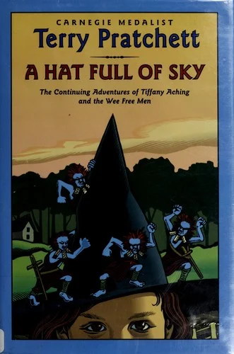 Couverture de A Hat Full of Sky