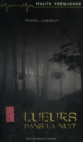 Couverture de Lueurs dans la nuit