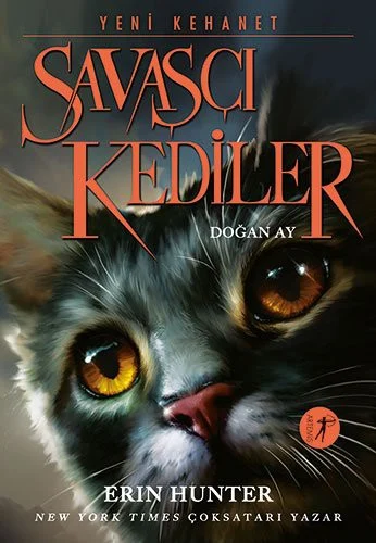 Couverture de Moonrise