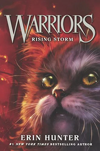 Couverture de Rising Storm