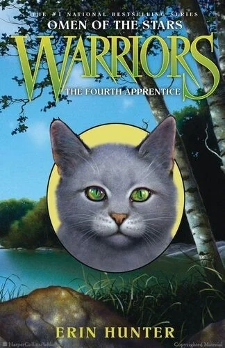 Couverture de The Fourth Apprentice