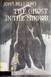Couverture de The Ghost in the Mirror
