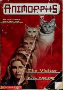 Couverture de The Visitor