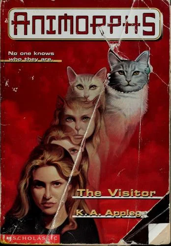 Couverture de The Visitor