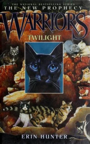 Couverture de Twilight